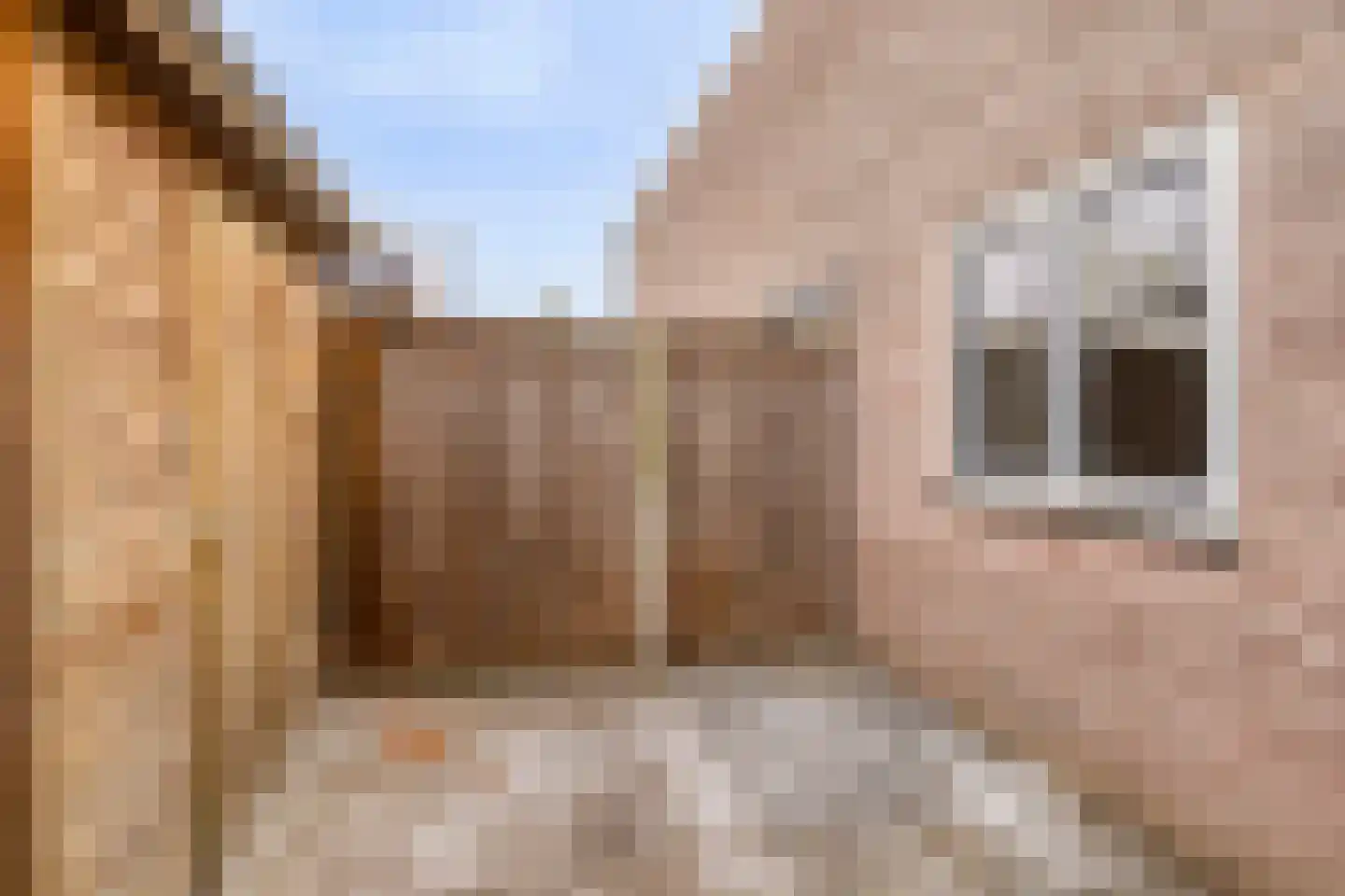Het Hoekje 37 c Hollandscheveld thumbnail 15