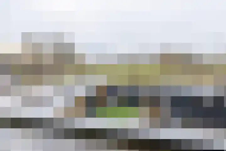 Het Hoevereind 30 Wekerom thumbnail 19