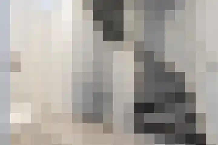 Het Hoevereind 30 Wekerom thumbnail 28