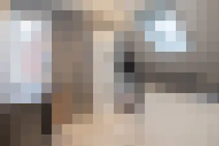 Het Hoevereind 30 Wekerom thumbnail 31