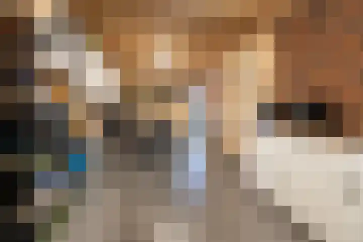 Het Hoevereind 30 Wekerom thumbnail 37
