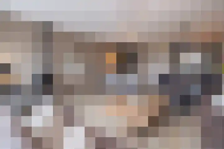 Het Hoevereind 30 Wekerom thumbnail 4