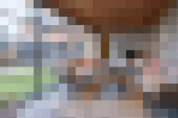 Het Hoevereind 30 Wekerom thumbnail 43