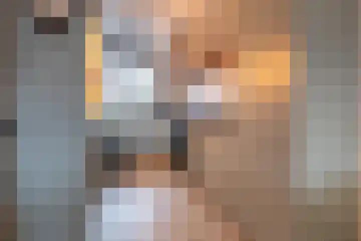 Het Hoevereind 30 Wekerom thumbnail 9