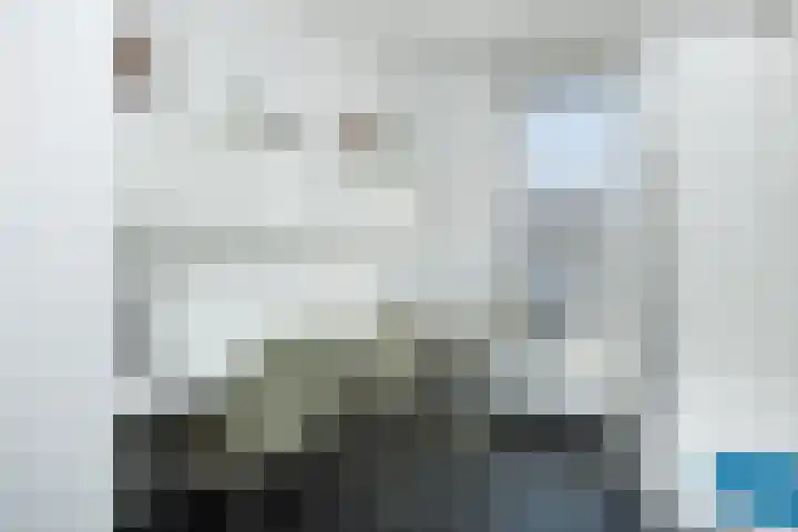Het Hof 1 B Gemonde thumbnail 10