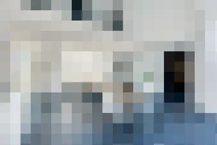 Het Hof 1 B Gemonde thumbnail 12