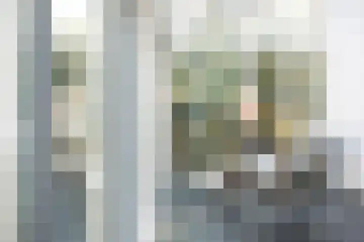 Het Hof 1 B Gemonde thumbnail 15