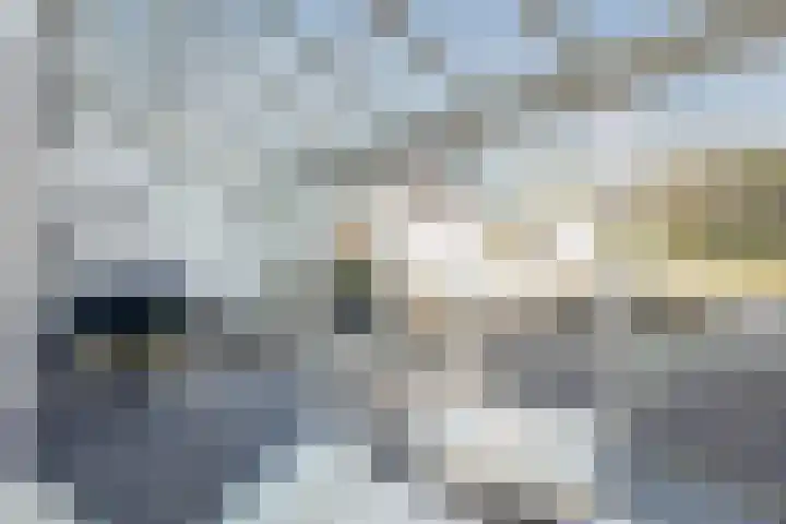 Het Hof 1 B Gemonde thumbnail 16