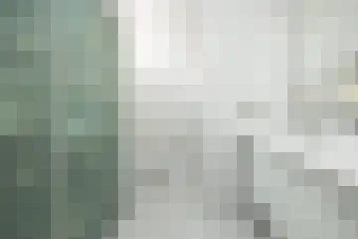 Het Hof 1 B Gemonde thumbnail 19