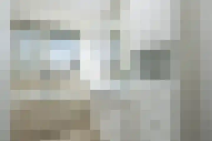 Het Hof 1 B Gemonde thumbnail 27
