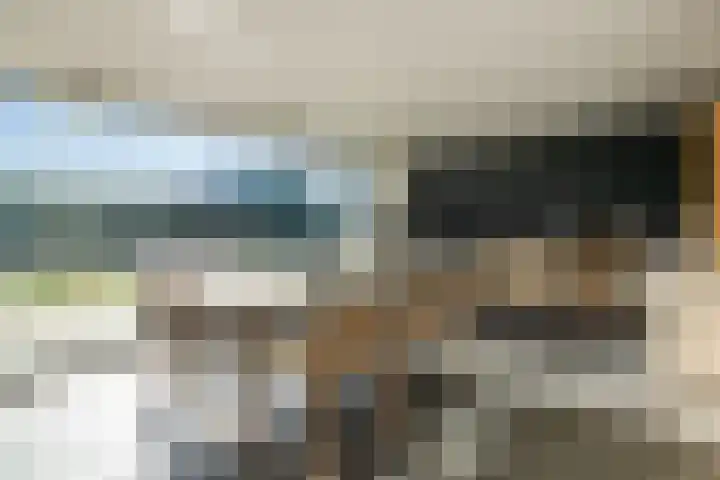 Het Hof 1 B Gemonde thumbnail 34
