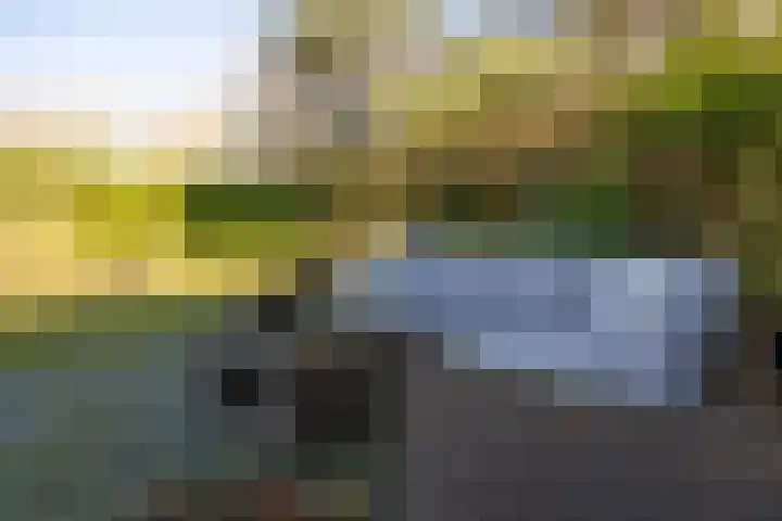 Het Hof 1 B Gemonde thumbnail 38