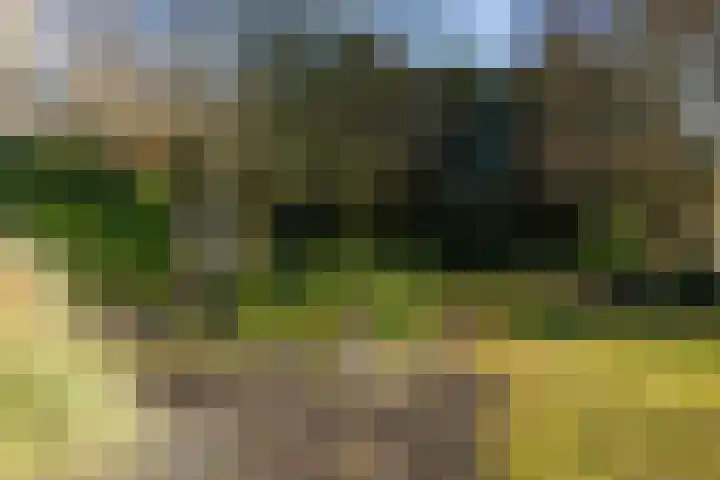 Het Hof 1 B Gemonde thumbnail 39