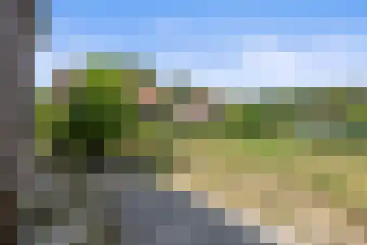 Het Hof 16 Nieuwkuijk thumbnail 27