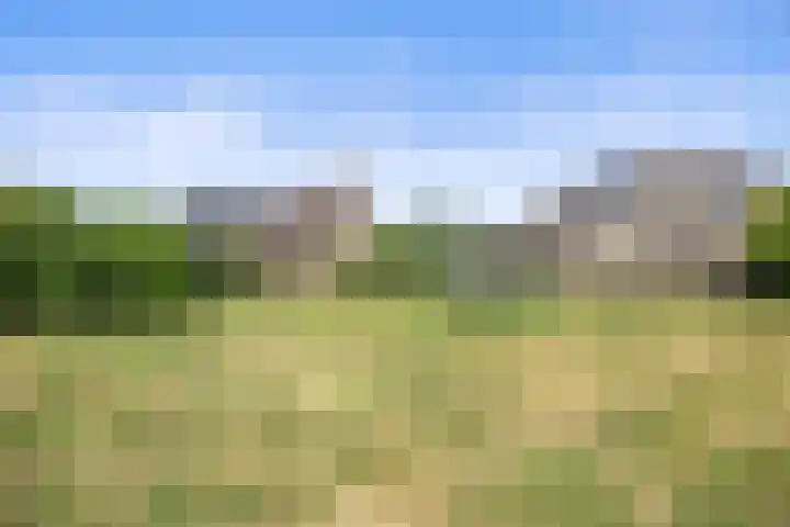 Het Hof 16 Nieuwkuijk thumbnail 28