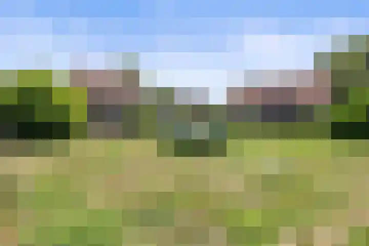 Het Hof 16 Nieuwkuijk thumbnail 30