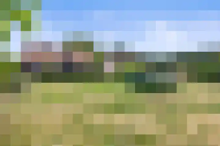 Het Hof 16 Nieuwkuijk thumbnail 31