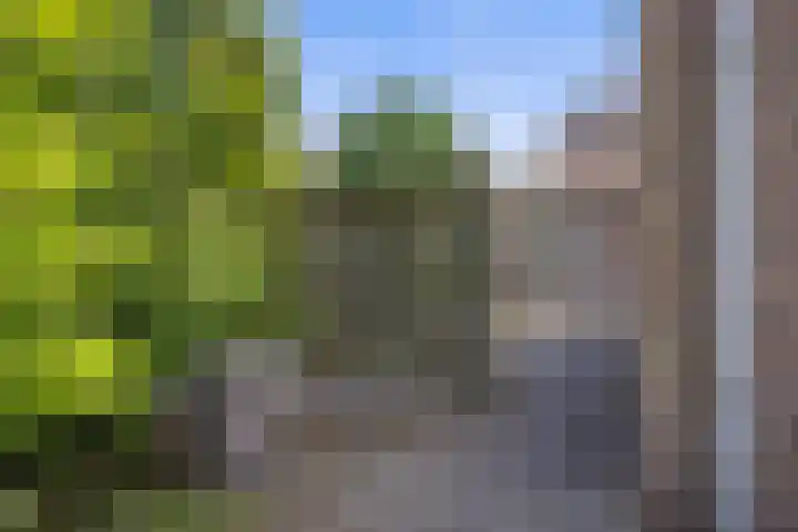 Het Hof 16 Nieuwkuijk thumbnail 32