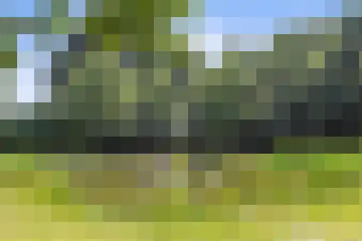 Het Hof 16 Nieuwkuijk thumbnail 39
