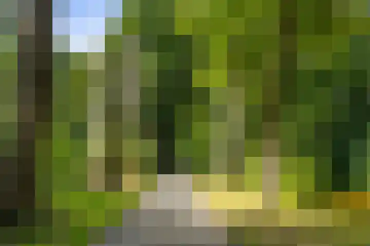 Het Hof 16 Nieuwkuijk thumbnail 6