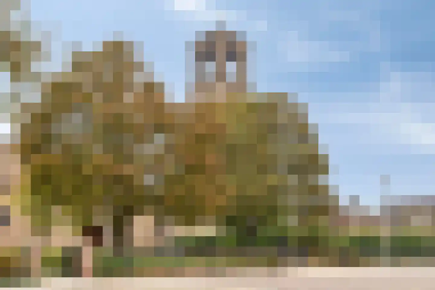Het Hof 4 Nieuwkuijk thumbnail 51
