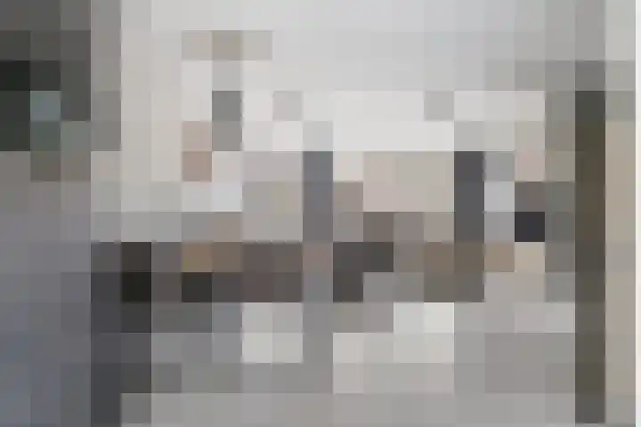 Het Hof 49 Oud Gastel thumbnail 10