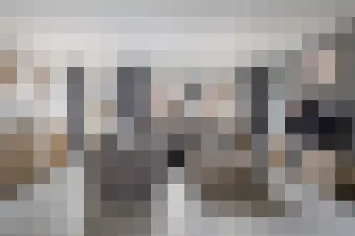 Het Hof 49 Oud Gastel thumbnail 11