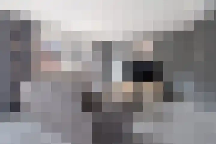 Het Hof 49 Oud Gastel thumbnail 12