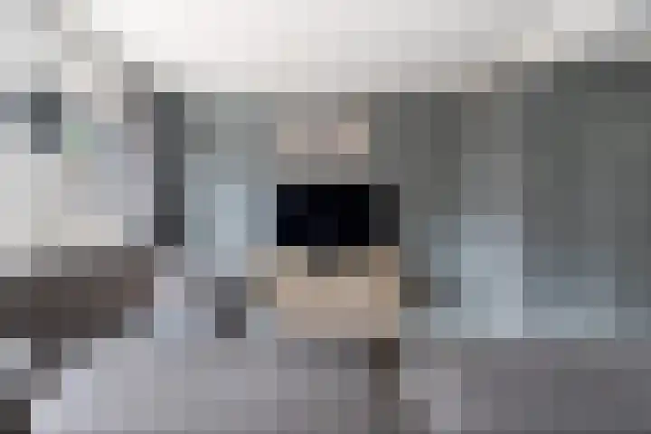 Het Hof 49 Oud Gastel thumbnail 13