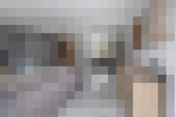 Het Hof 49 Oud Gastel thumbnail 14