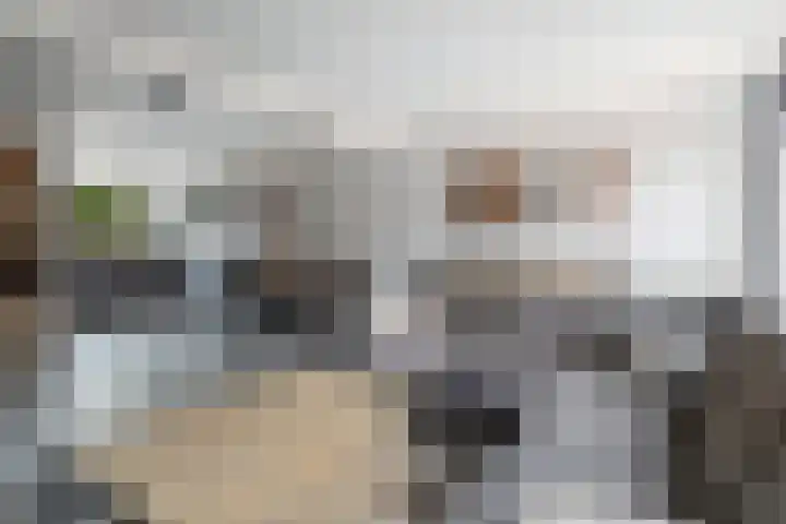 Het Hof 49 Oud Gastel thumbnail 15