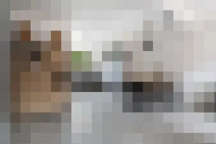 Het Hof 49 Oud Gastel thumbnail 16