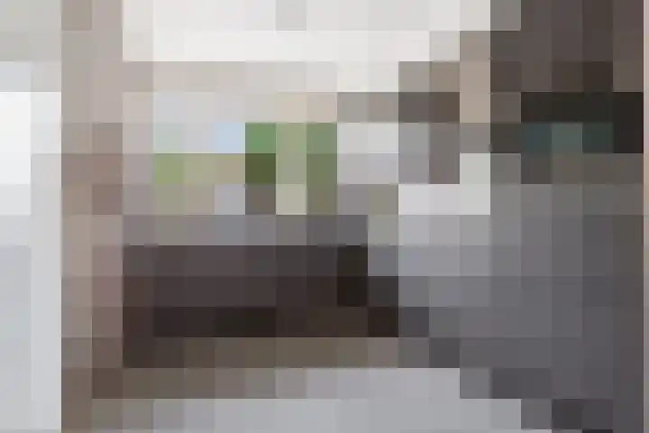 Het Hof 49 Oud Gastel thumbnail 18