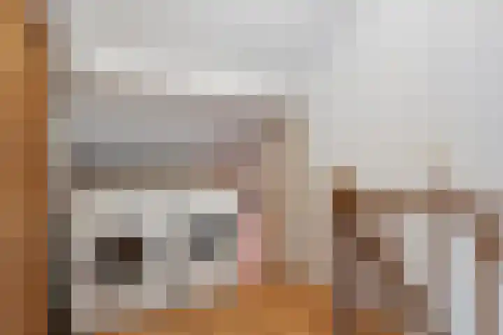 Het Hof 49 Oud Gastel thumbnail 35