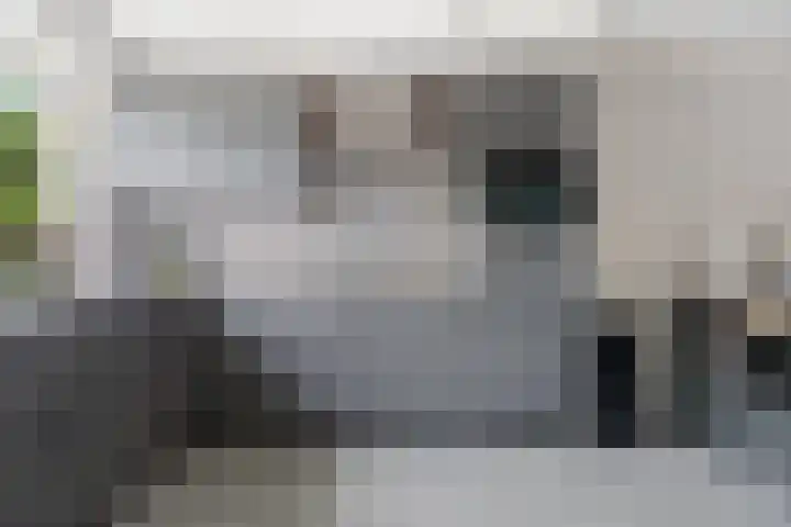 Het Hof 49 Oud Gastel thumbnail 9