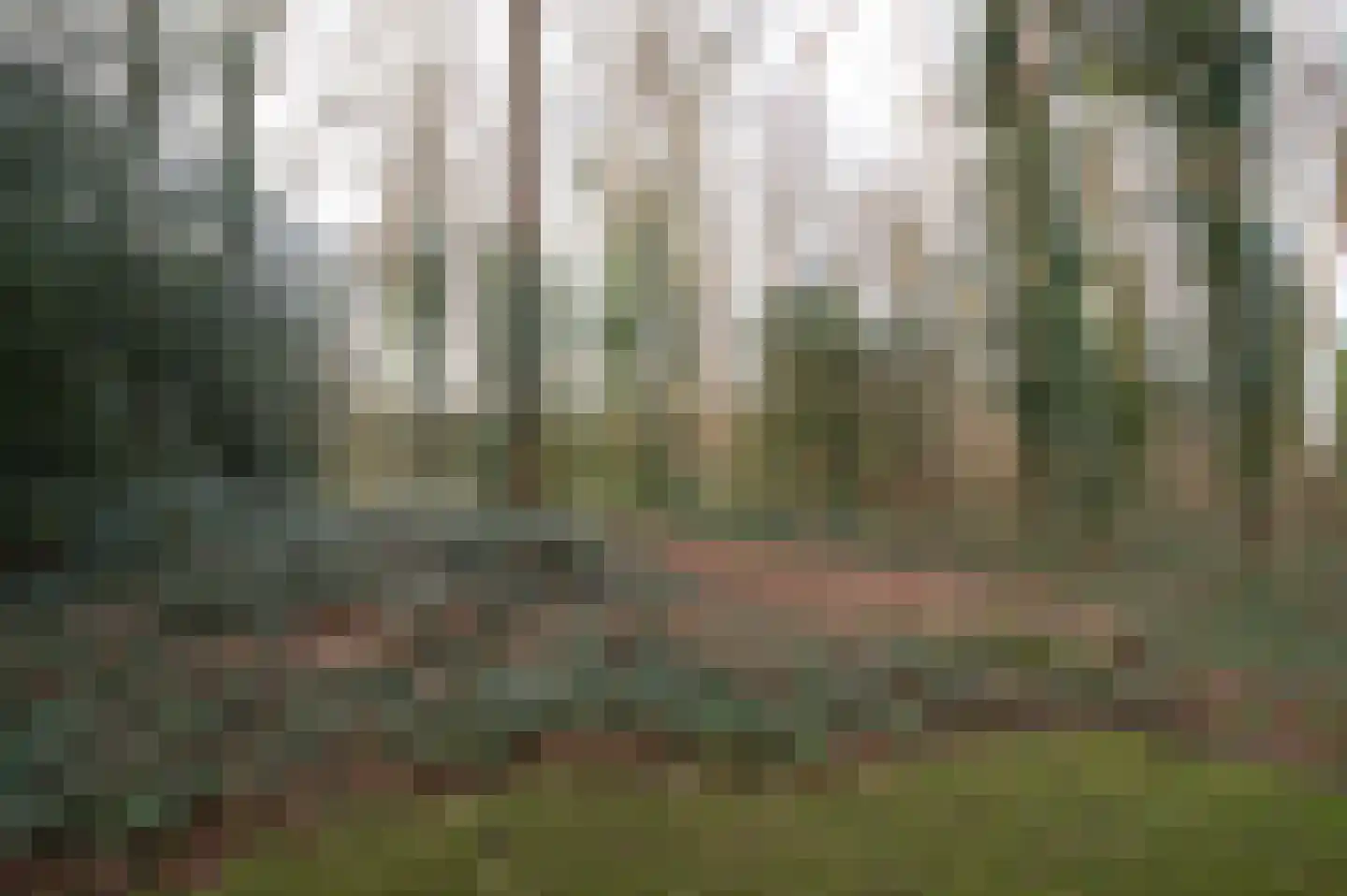 Het Hof van Rolde 18 Rolde thumbnail 36