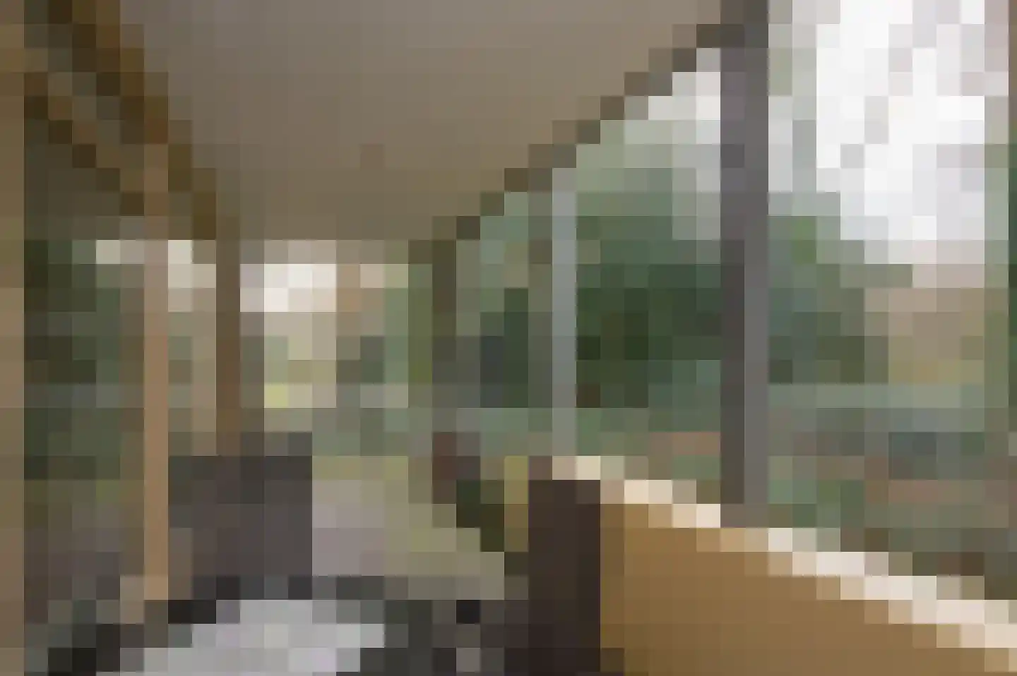 Het Hof van Rolde 18 Rolde thumbnail 38