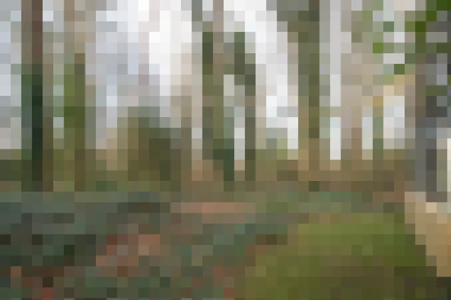 Het Hof van Rolde 18 Rolde thumbnail 4