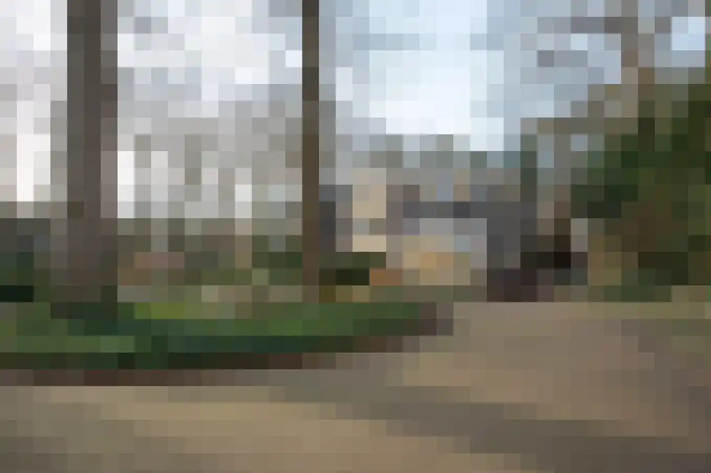 Het Hof van Rolde 18 Rolde thumbnail 44