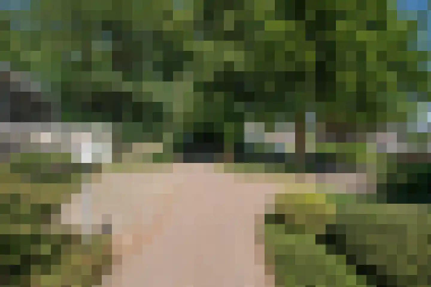 Het Hof van Rolde 18 Rolde thumbnail 49