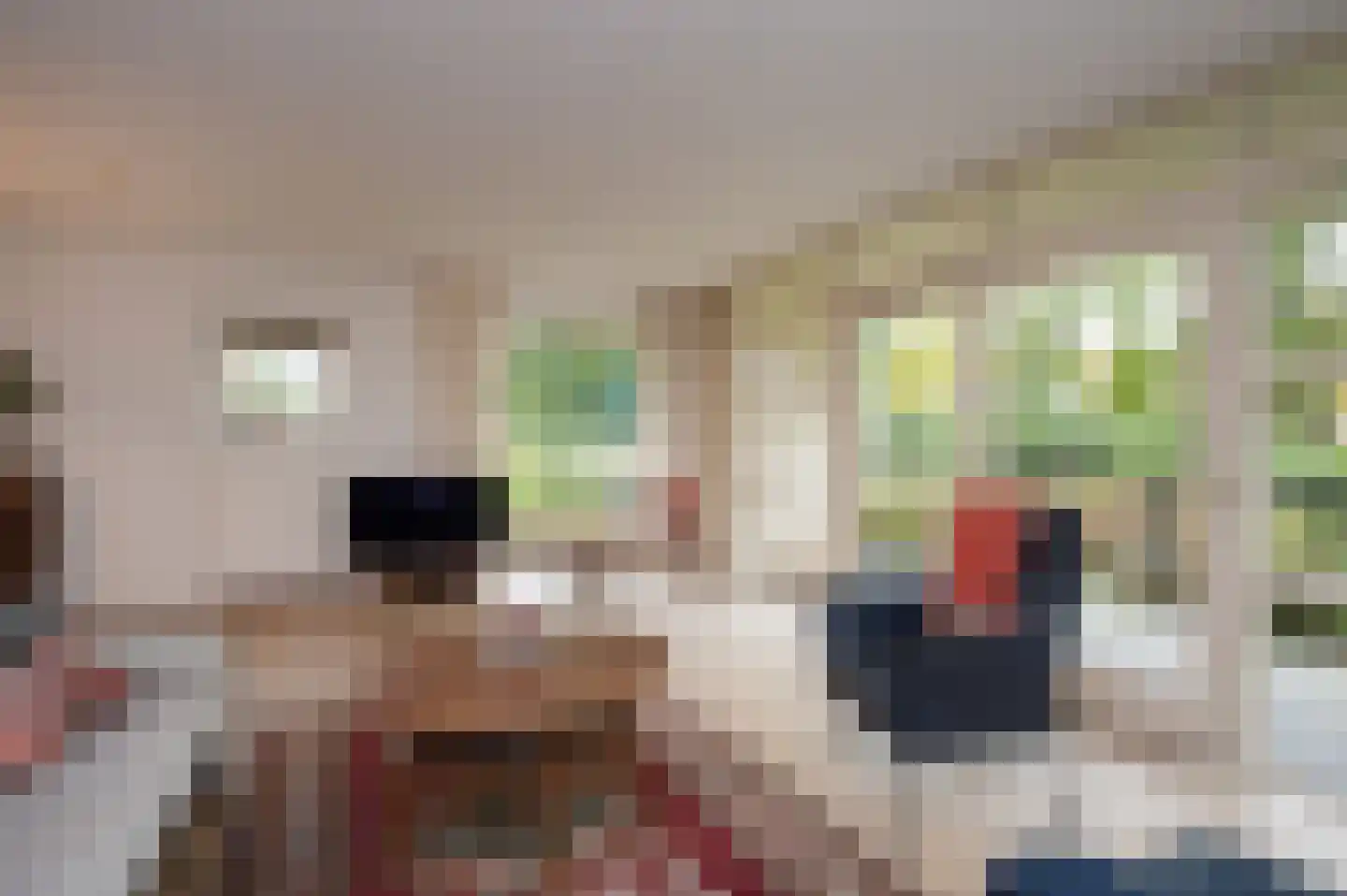 Het Hof van Rolde 2 Rolde thumbnail 19
