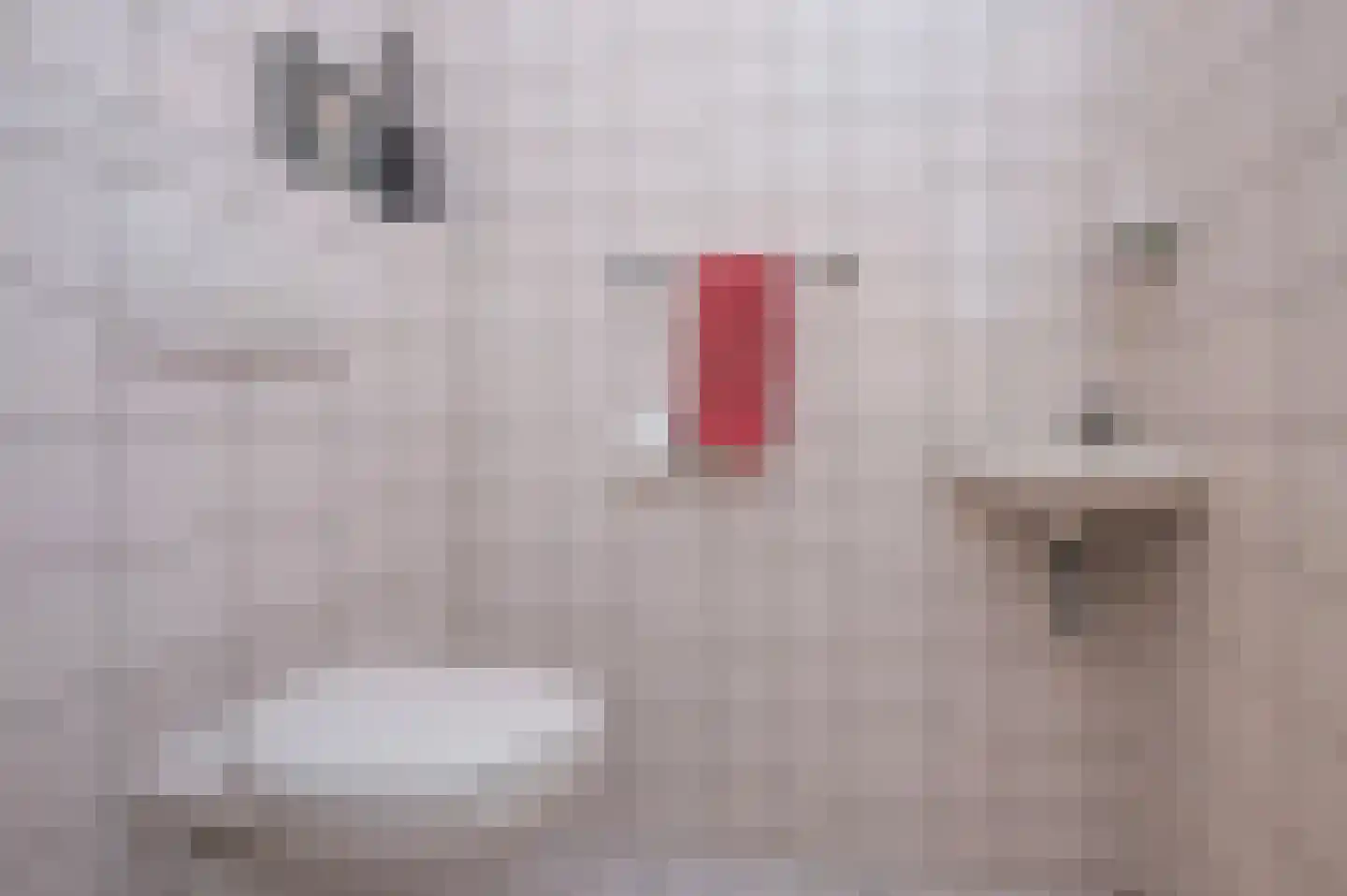 Het Hof van Rolde 2 Rolde thumbnail 26