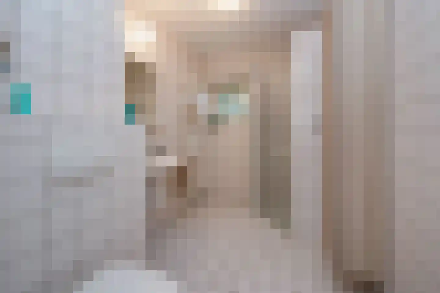 Het Hof van Rolde 2 Rolde thumbnail 33