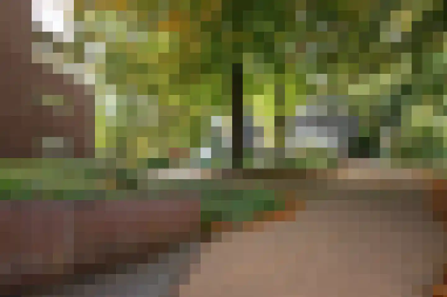 Het Hof van Rolde 2 Rolde thumbnail 42