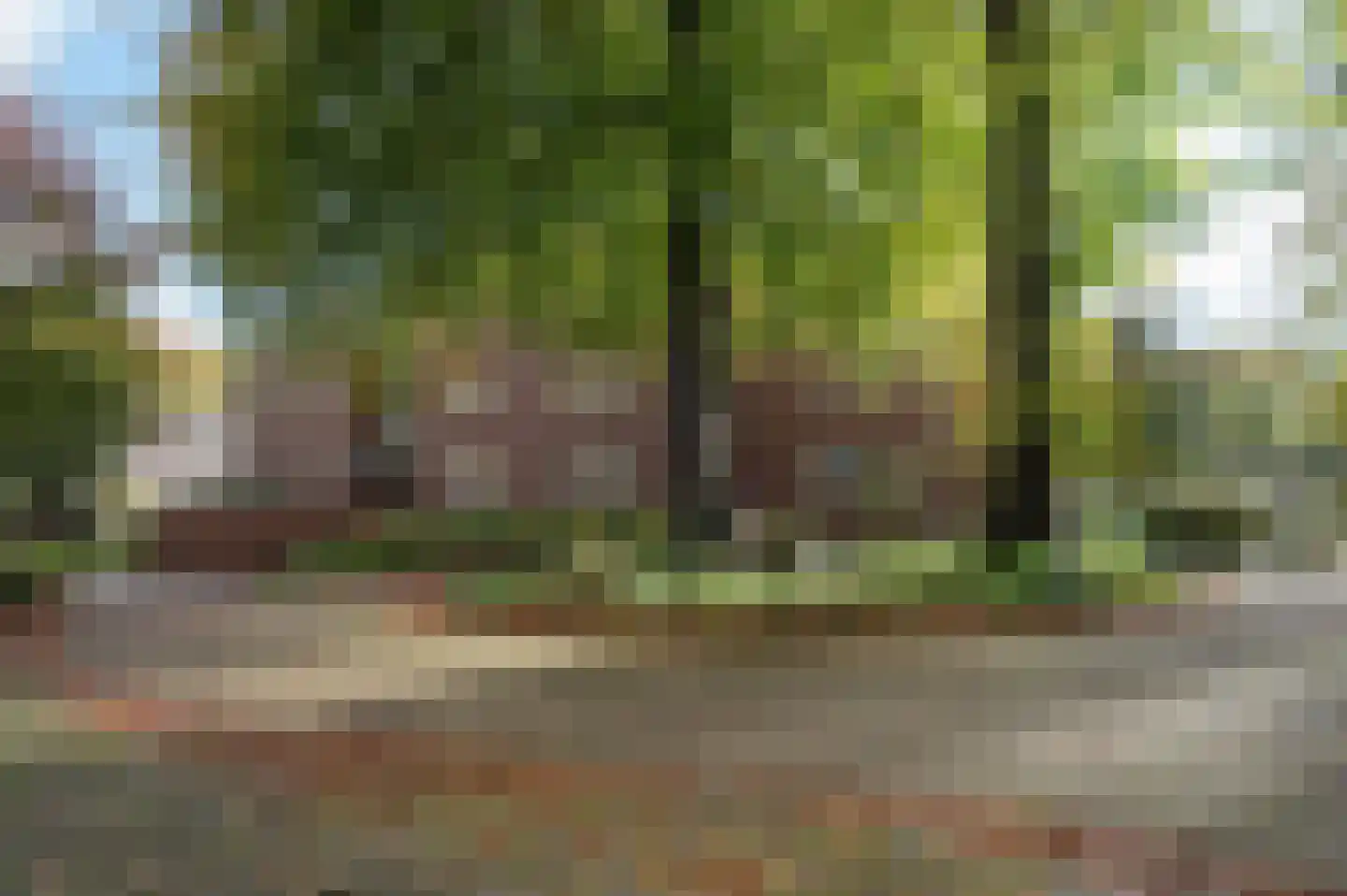 Het Hof van Rolde 2 Rolde thumbnail 43