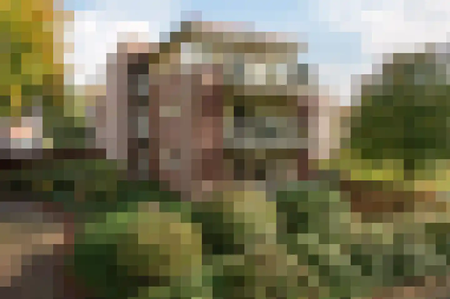 Het Hof van Rolde 2 Rolde thumbnail 5