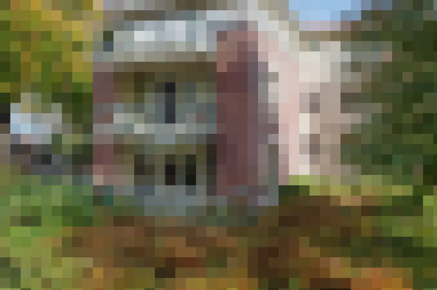 Het Hof van Rolde 2 Rolde thumbnail 6