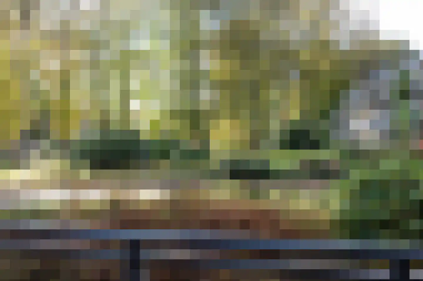Het Hof van Rolde 2 Rolde thumbnail 9
