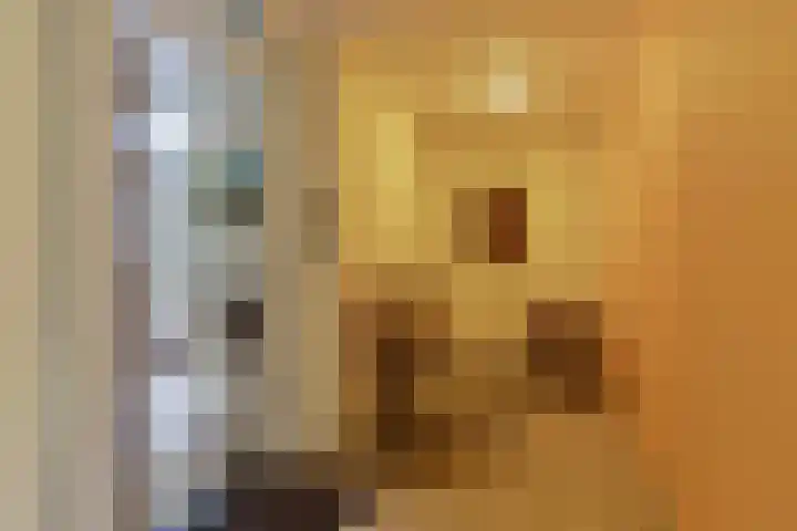 Het Hof van Rolde 30 Rolde thumbnail 11