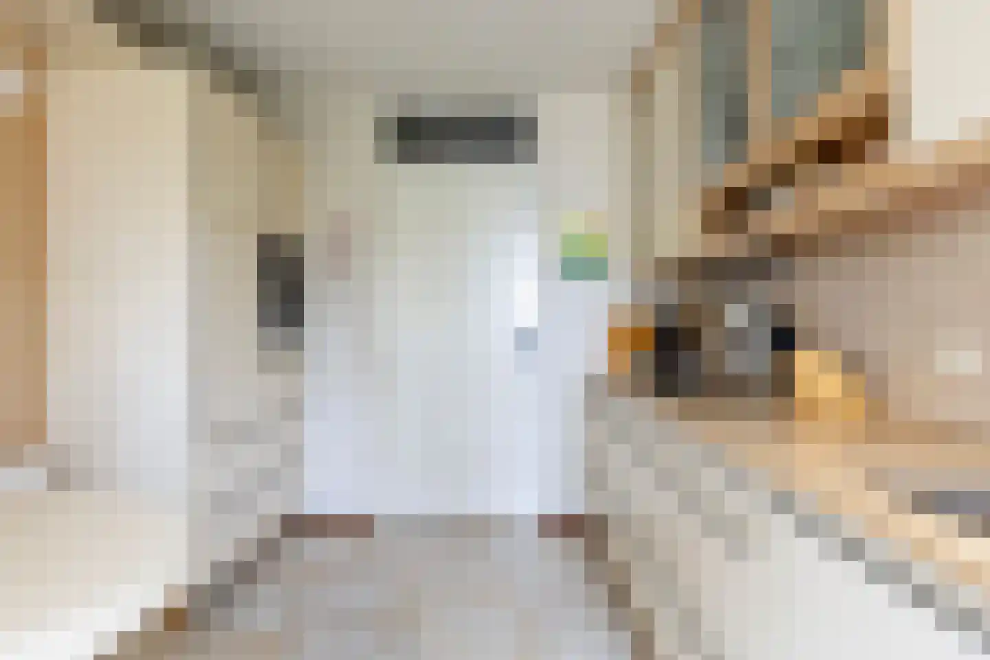 Het Hof van Rolde 30 Rolde thumbnail 22